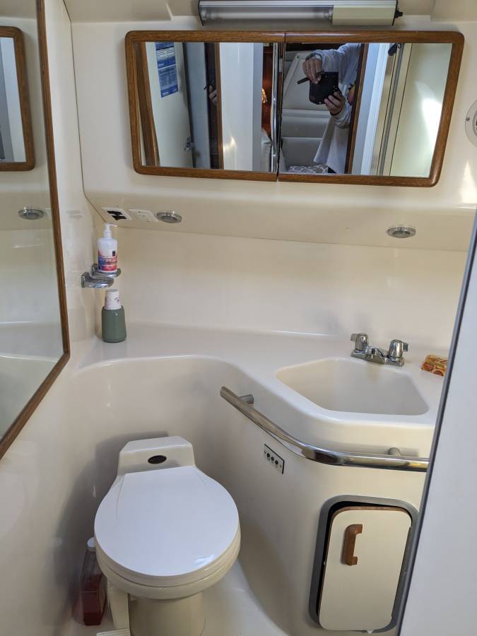 Sea Ray, dovoz USA — foto 6 z 12