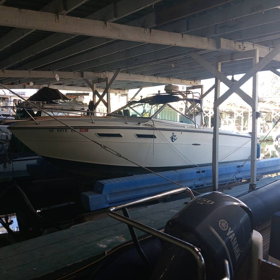 Sea Ray, dovoz USA — foto 12 z 12
