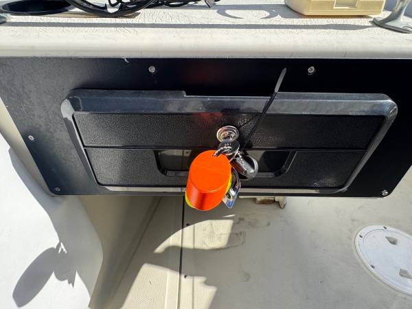Boston Whaler, dovoz USA — foto 6 z 12