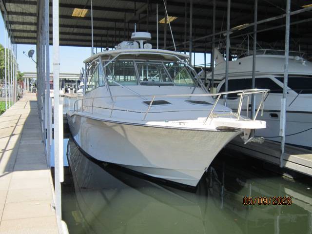 2007 Grady-White, biela, dovoz USA — foto 2 z 12