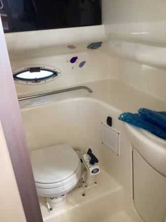 Bayliner, dovoz USA — foto 10 z 12