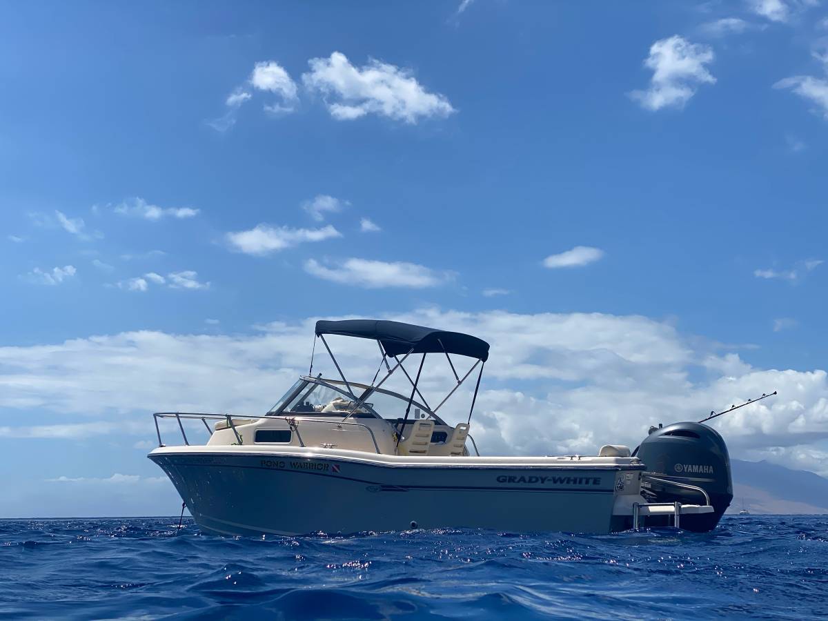 2018 Grady-White, biela, dovoz USA — foto 4 z 11