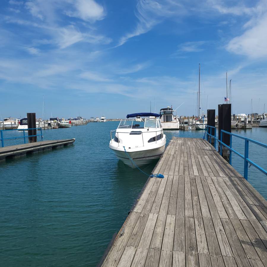 Bayliner, dovoz USA — foto 2 z 9