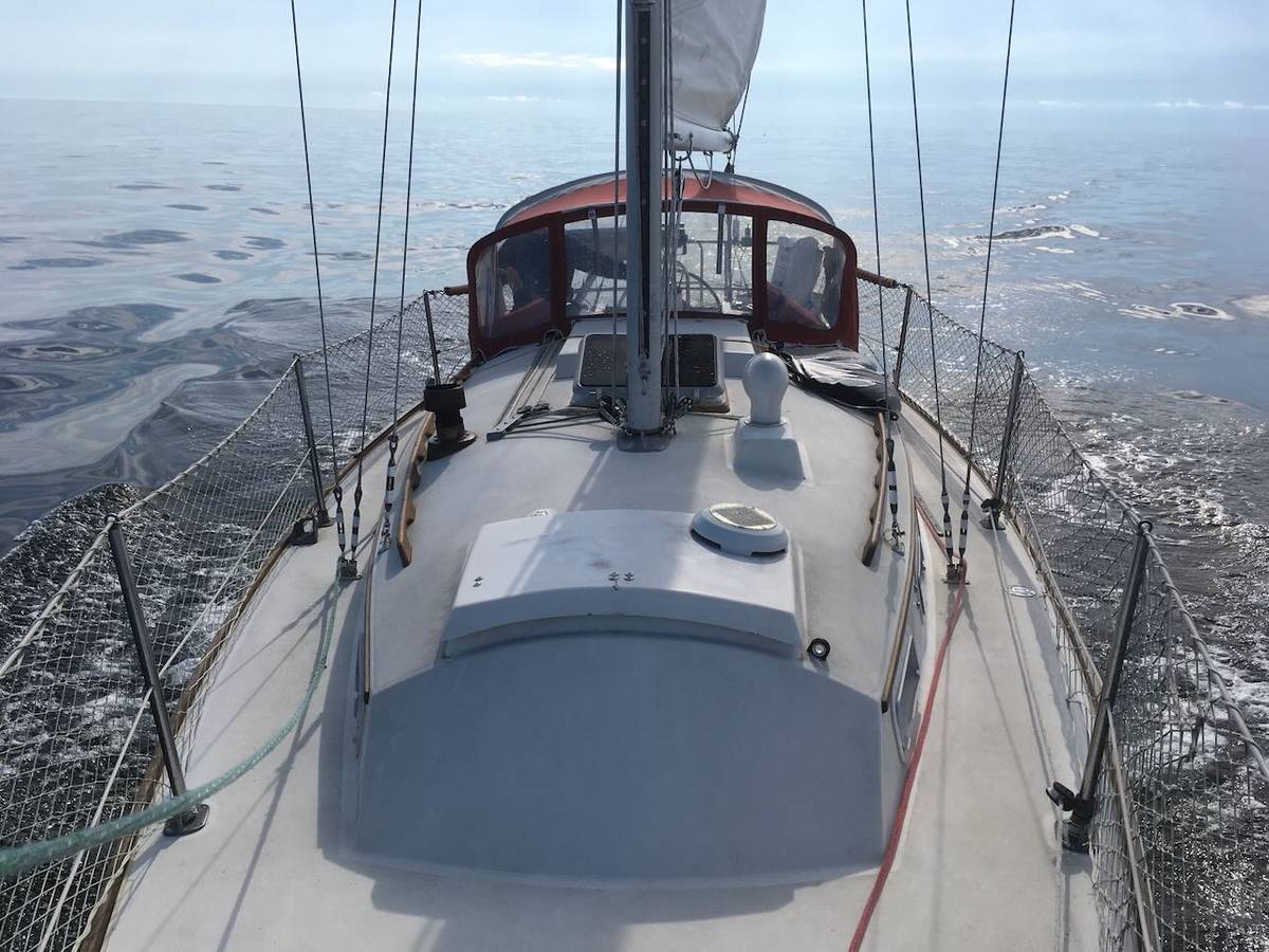 Catalina, dovoz USA — foto 7 z 12