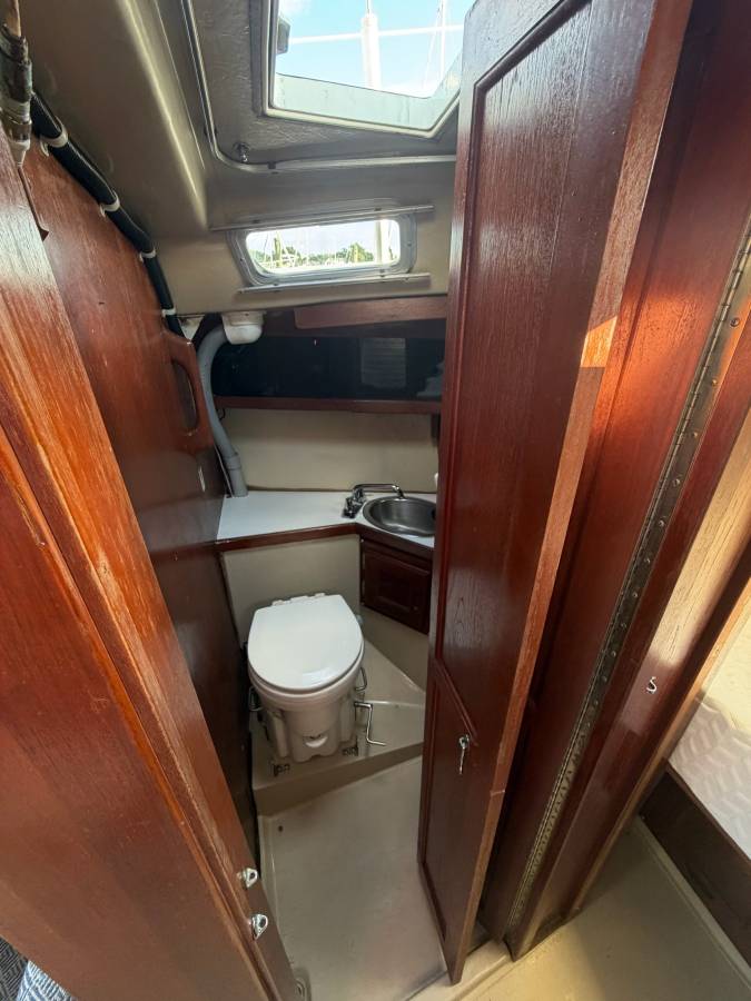 Catalina, dovoz USA — foto 11 z 12