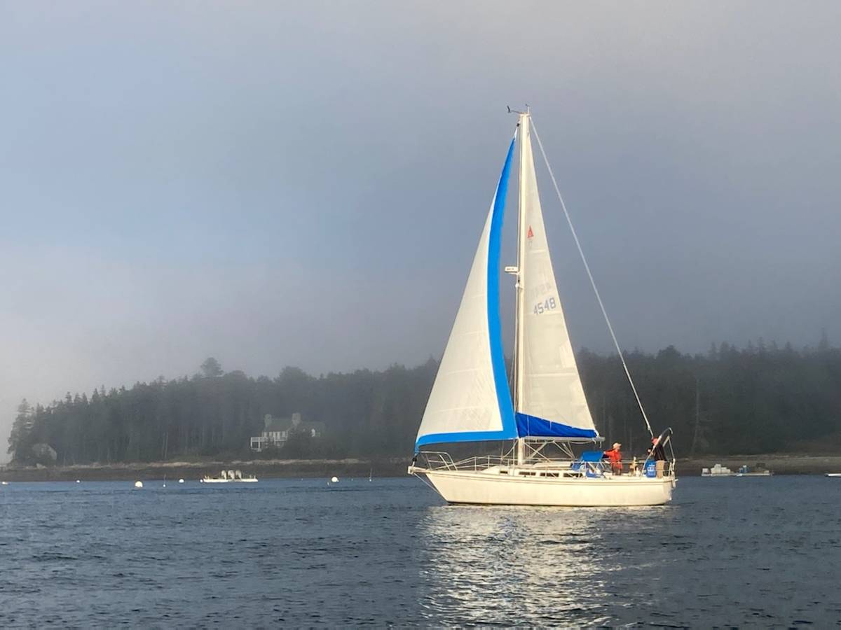 Catalina, dovoz USA — foto 3 z 12