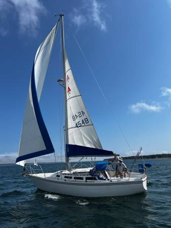Catalina, dovoz USA — foto 5 z 12