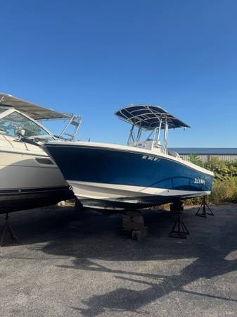 2015 EdgeWater, dovoz USA — foto 2 z 12
