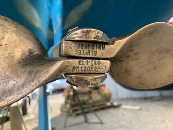 Catalina, dovoz USA — foto 11 z 12