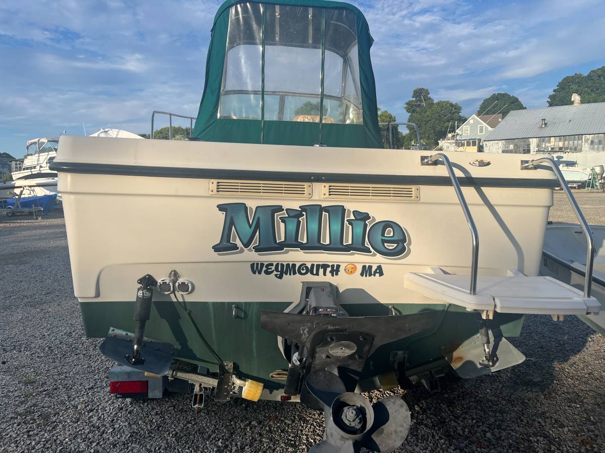 Bayliner, dovoz USA — foto 2 z 10