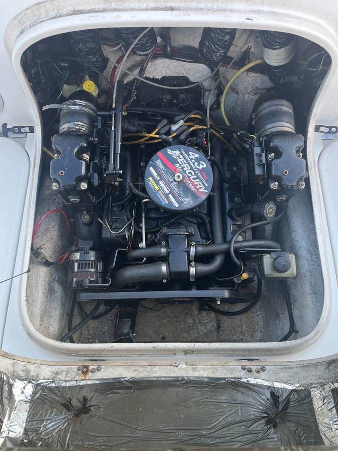 Bayliner, dovoz USA — foto 6 z 10