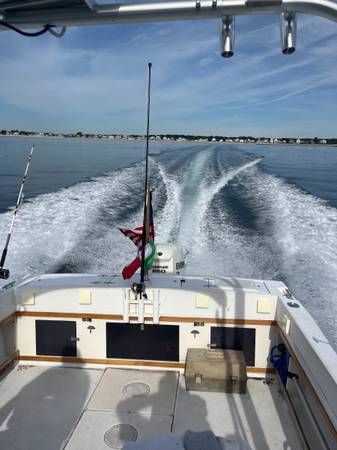 Grady-White, biela, dovoz USA — foto 4 z 10