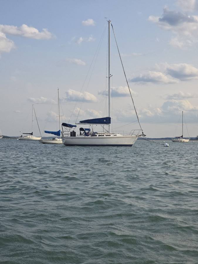 Catalina, dovoz USA — foto 6 z 12