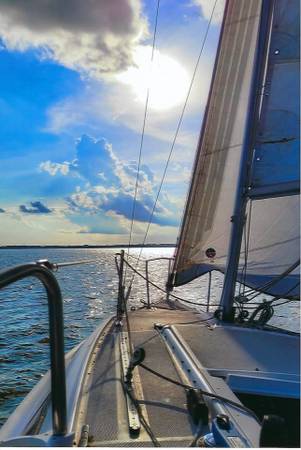 2006 Catalina, dovoz USA — foto 5 z 10