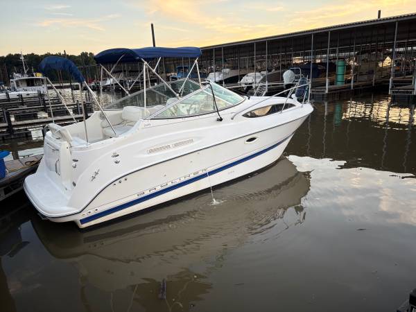 Bayliner, dovoz USA — foto 1