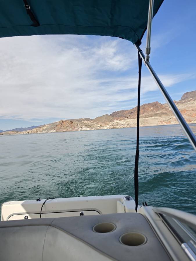Bayliner, dovoz USA — foto 7 z 12
