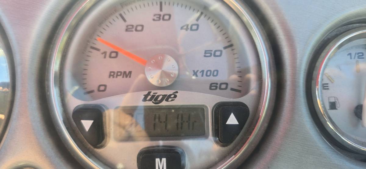 Tige, dovoz USA — foto 12 z 12