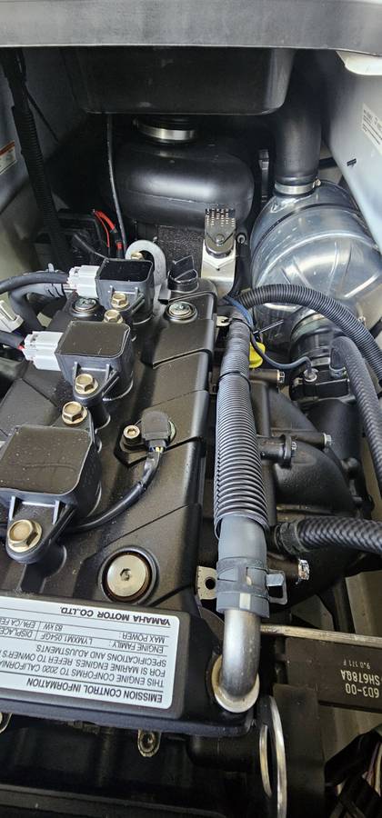 2020 Yamaha, dovoz USA — foto 8 z 12