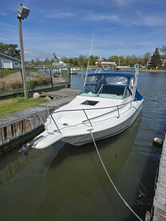 1995 Sea Ray, dovoz USA — foto 1 z 4 1995 Sea Ray, dovoz USA — foto 1 z 4