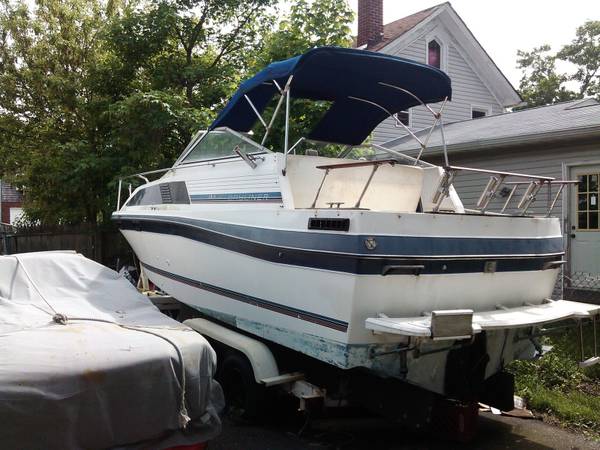 Bayliner, dovoz USA — foto 1