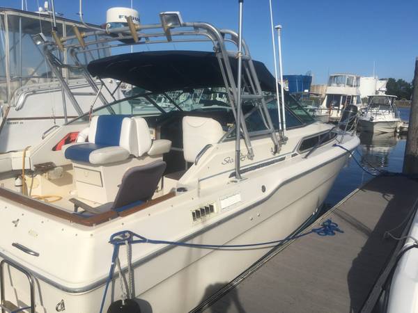 Sea Ray, dovoz USA — foto 2 z 12