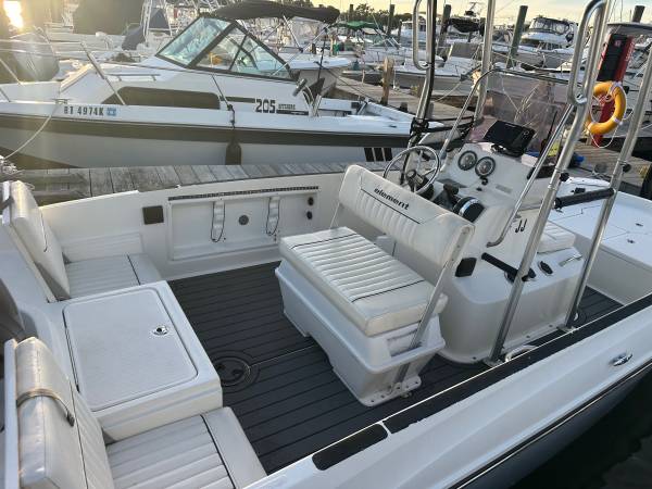 2019 Bayliner, dovoz USA — foto 1