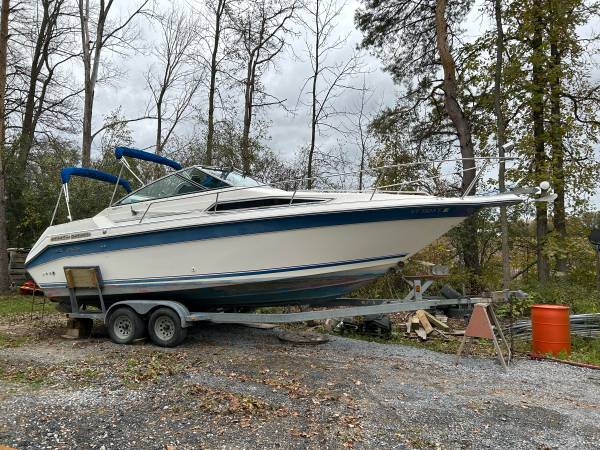1991 Sea Ray, dovoz USA — foto 1