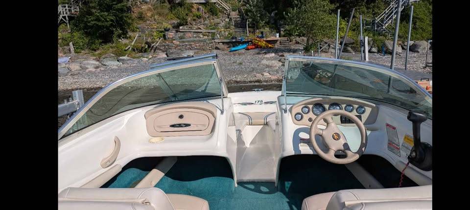 Sea Ray, dovoz USA — foto 6 z 8