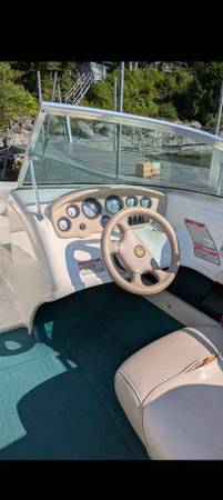 Sea Ray, dovoz USA — foto 7 z 8
