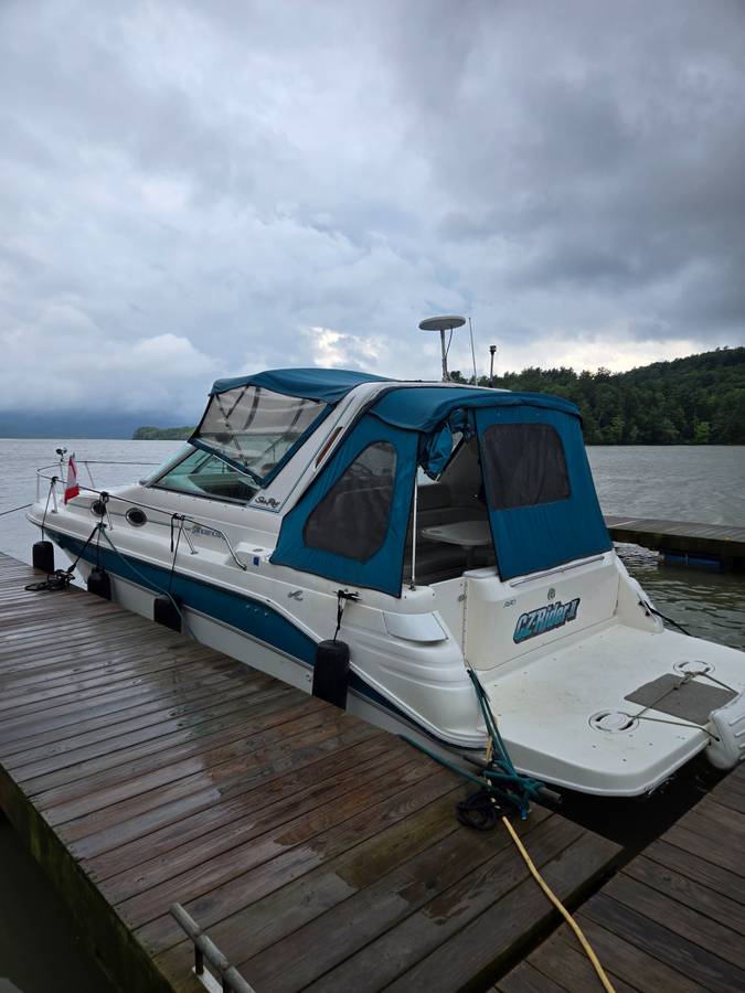 1995 Sea Ray, dovoz USA — foto 1 z 12 1995 Sea Ray, dovoz USA — foto 1 z 12