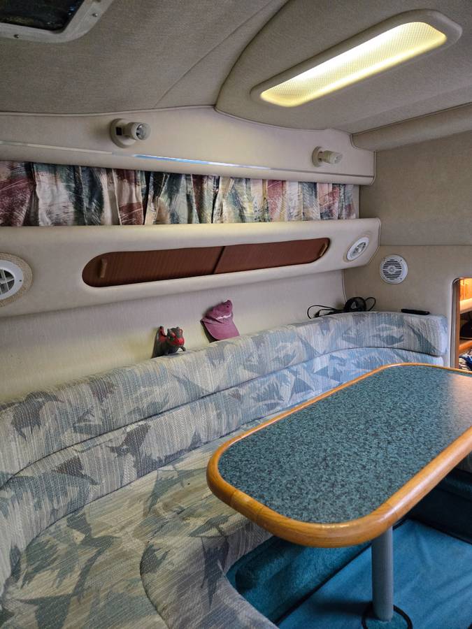 1995 Sea Ray, dovoz USA — foto 7 z 12