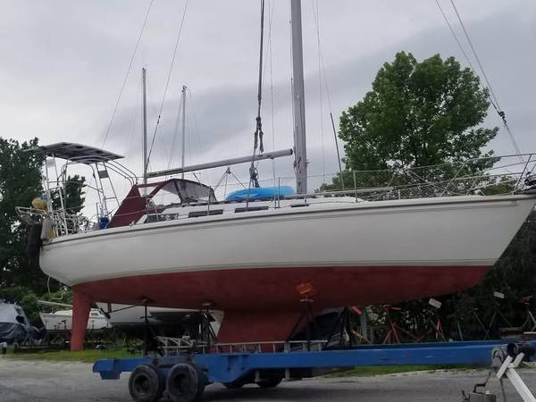 1987 Catalina, dovoz USA — foto 2 z 11