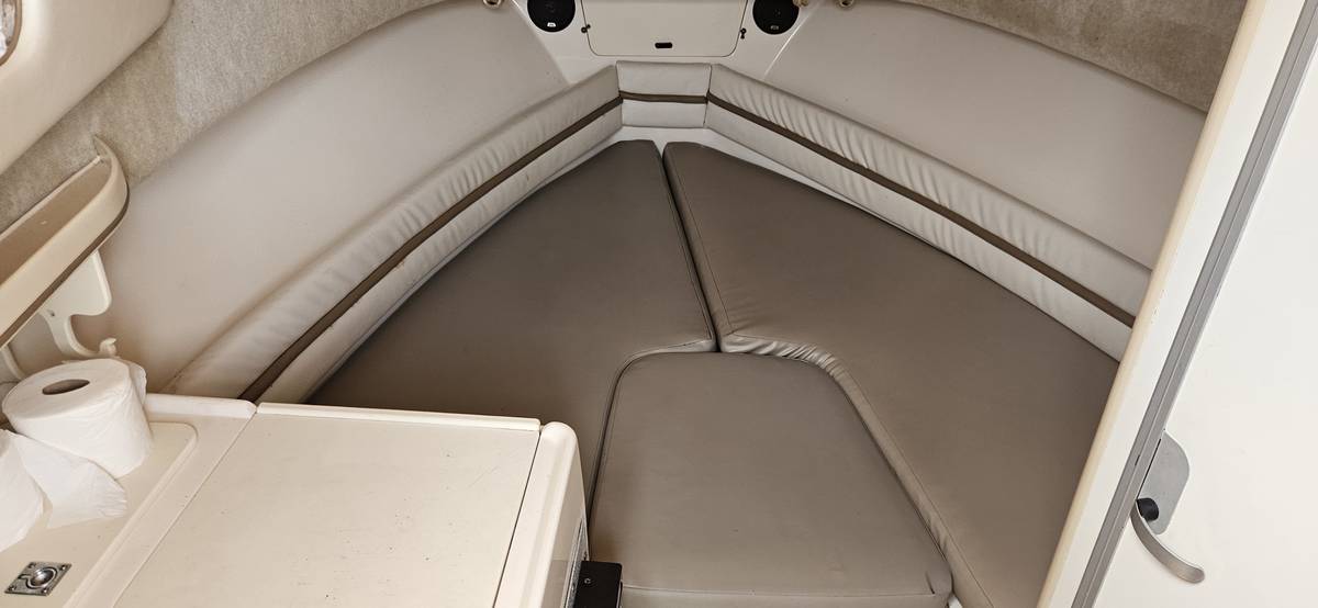 Grady-White, biela, dovoz USA — foto 11 z 12