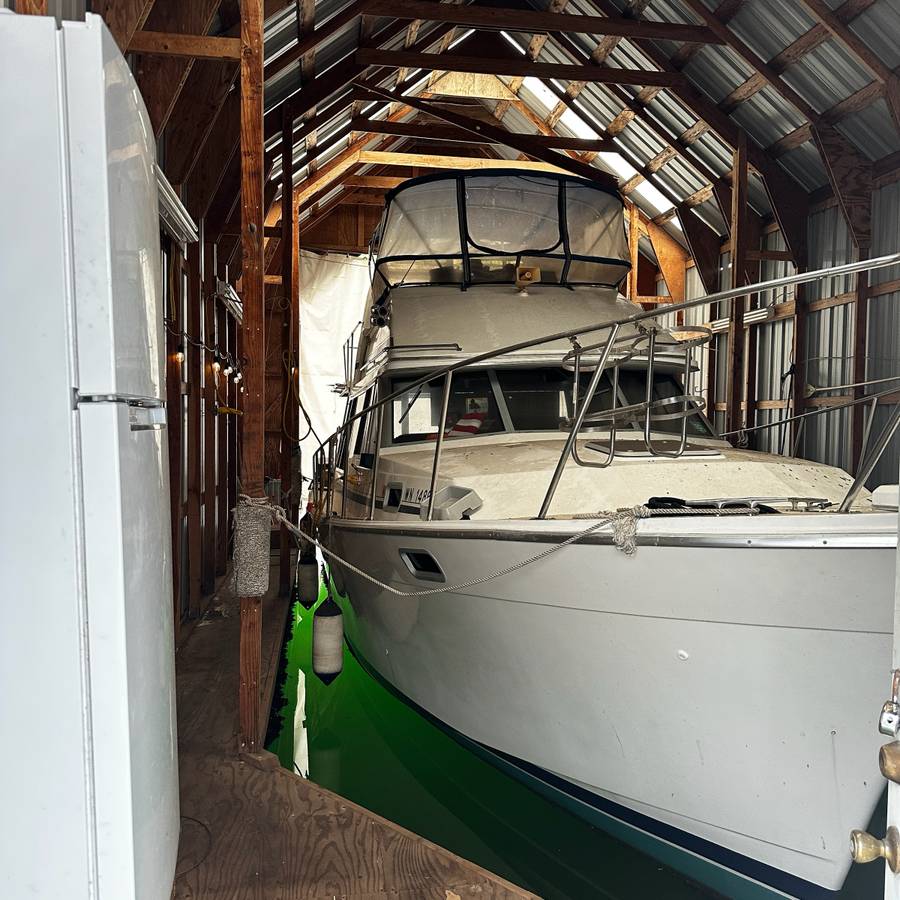 Bayliner, dovoz USA — foto 3 z 9
