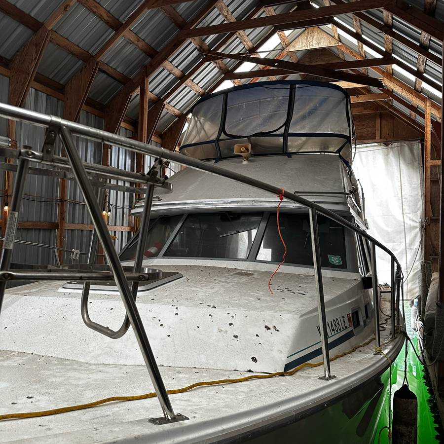 Bayliner, dovoz USA — foto 4 z 9