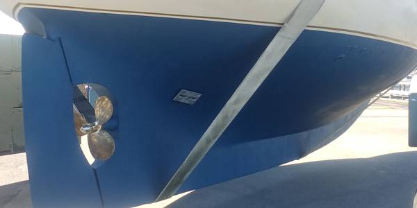 Boston Whaler, dovoz USA — foto 7 z 12