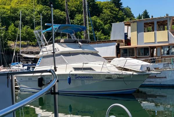 1982 Sea Ray, dovoz USA — foto 1