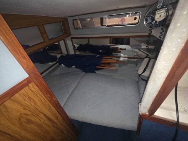 1988 Sea Ray, dovoz USA — foto 8 z 12