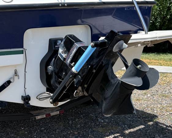 Bayliner, dovoz USA — foto 3 z 12