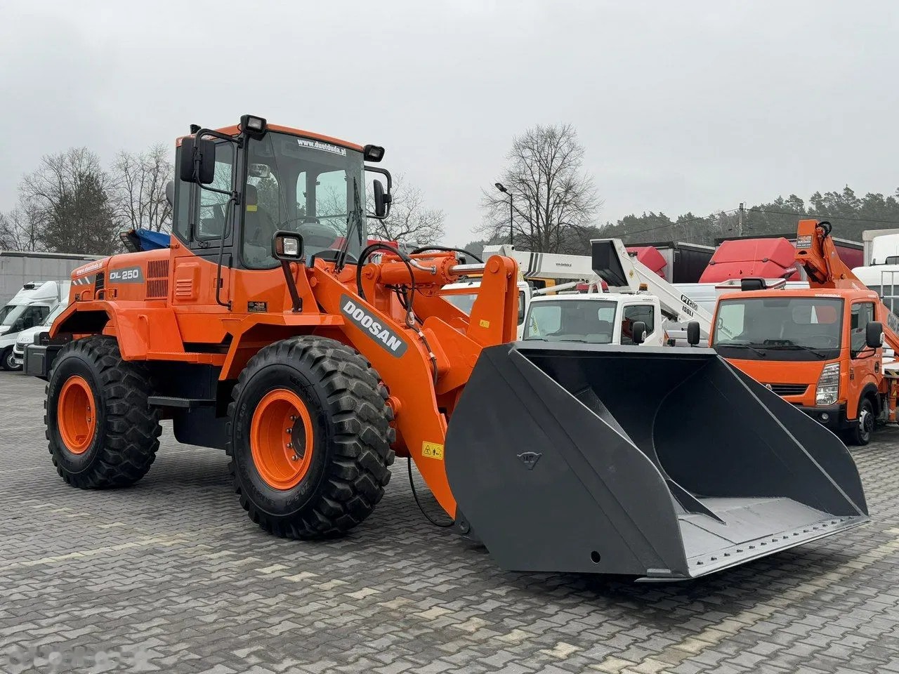 2008 Doosan DL250, 8 237 mth, dovoz Skladom v EÚ — foto 3 z 24