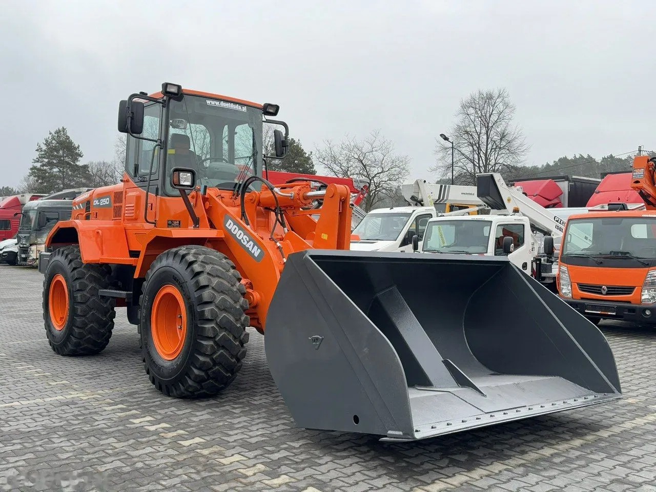 2008 Doosan DL250, 8 237 mth, dovoz Skladom v EÚ — foto 7 z 24