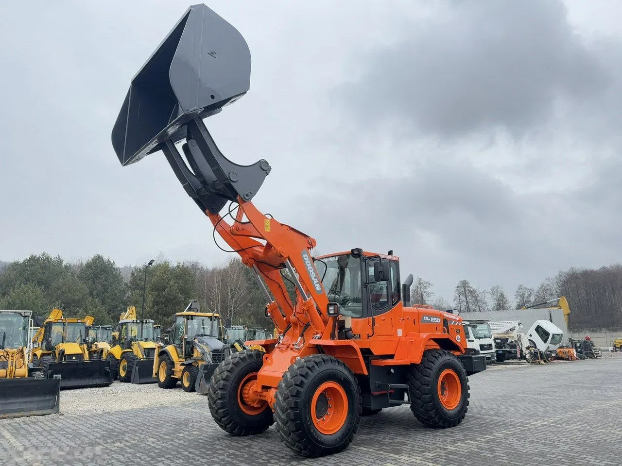 2008 Doosan DL250, 8 237 mth, dovoz Skladom v EÚ — foto 8 z 24