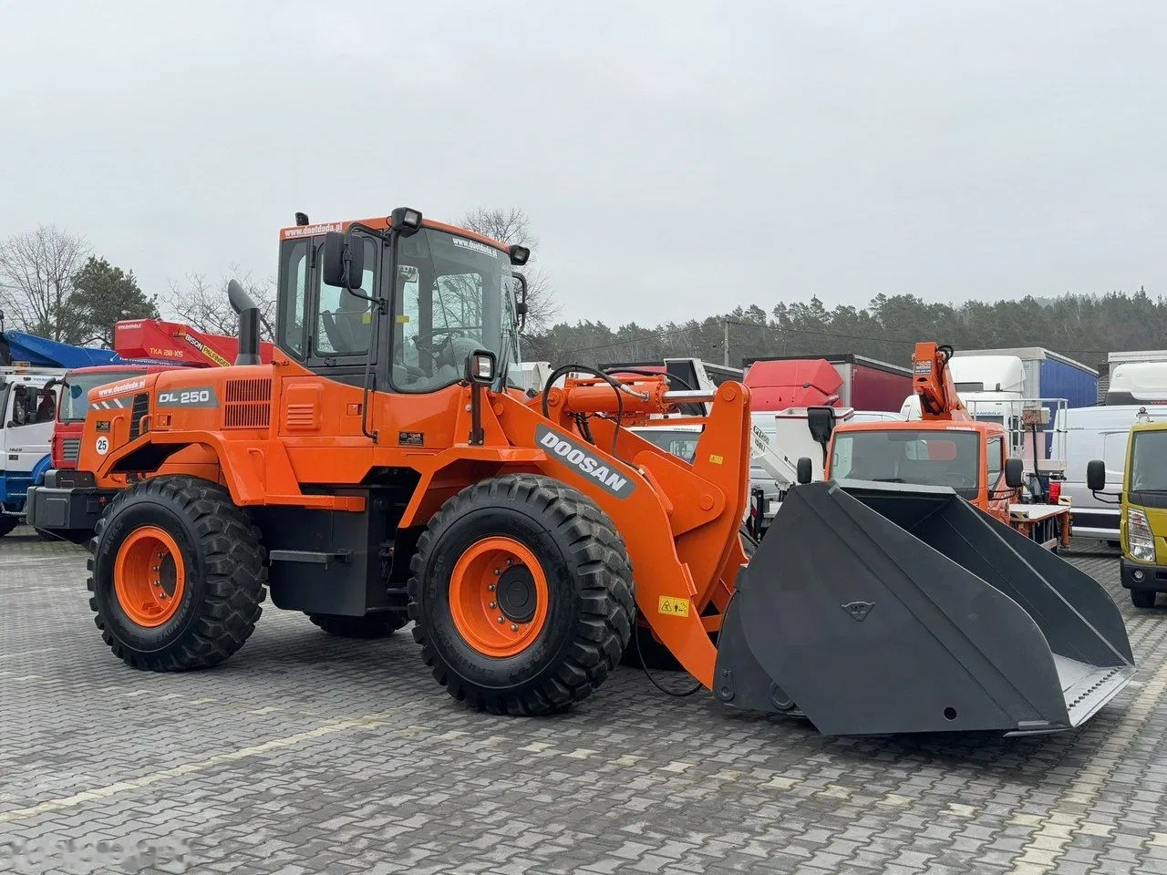 2008 Doosan DL250, 8 237 mth, dovoz Skladom v EÚ — foto 9 z 24