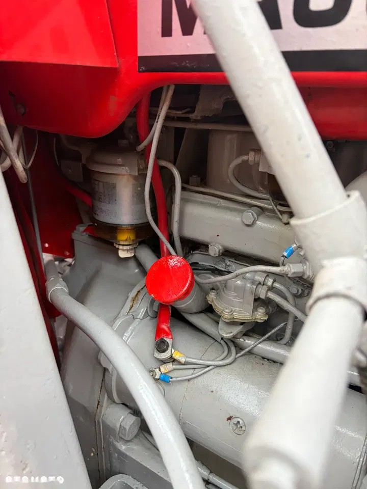 1963 Massey Ferguson 25, 100 mth, dovoz Skladom v EÚ — foto 13 z 24