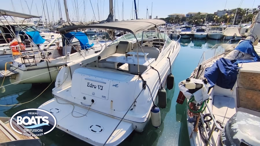 Sea Ray, dovoz Skladom v EÚ — foto 1