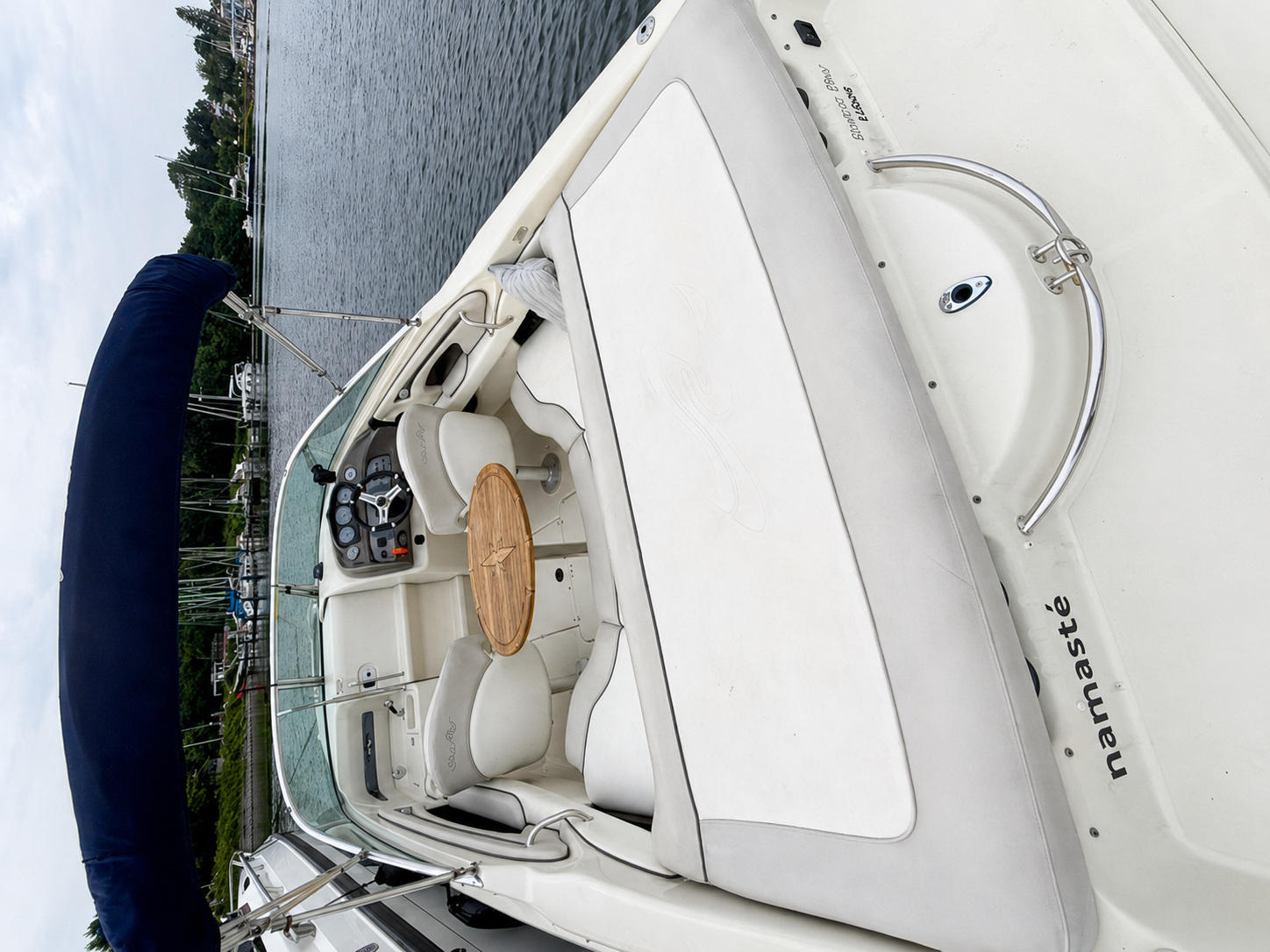 Sea Ray, dovoz Skladom v EÚ — foto 10 z 13