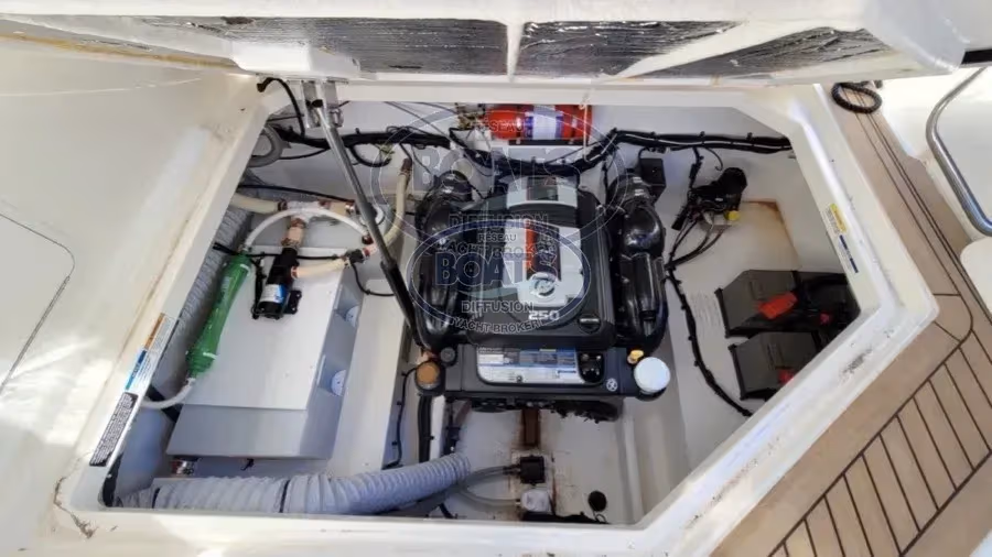 Bayliner, dovoz Skladom v EÚ — foto 15 z 20