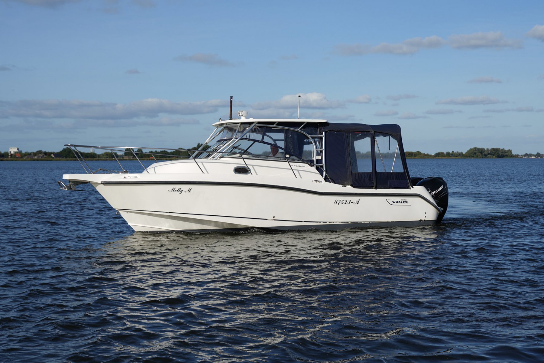 2007 Boston Whaler, dovoz Skladom v EÚ — foto 3 z 20