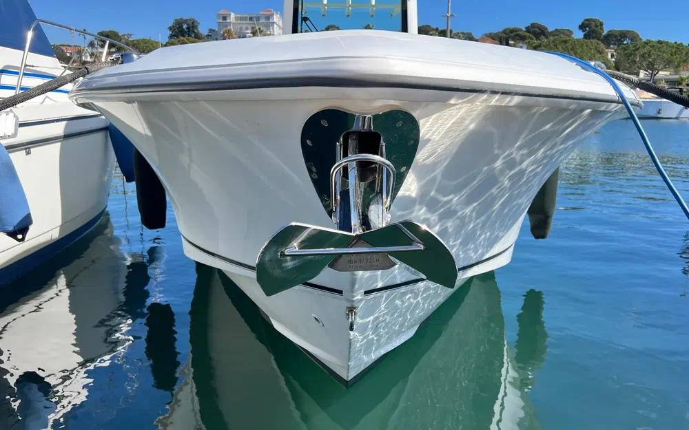 2008 Boston Whaler, dovoz Skladom v EÚ — foto 4 z 20