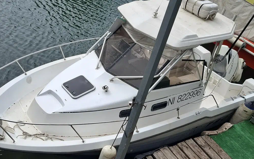 1991 Bayliner, dovoz Skladom v EÚ — foto 1
